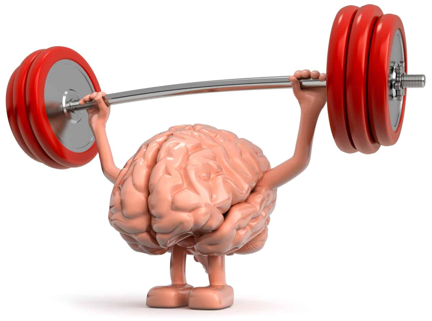 Cerveau soulevant une barre avec des poids.